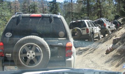 Row of Jeeps