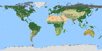 World Map